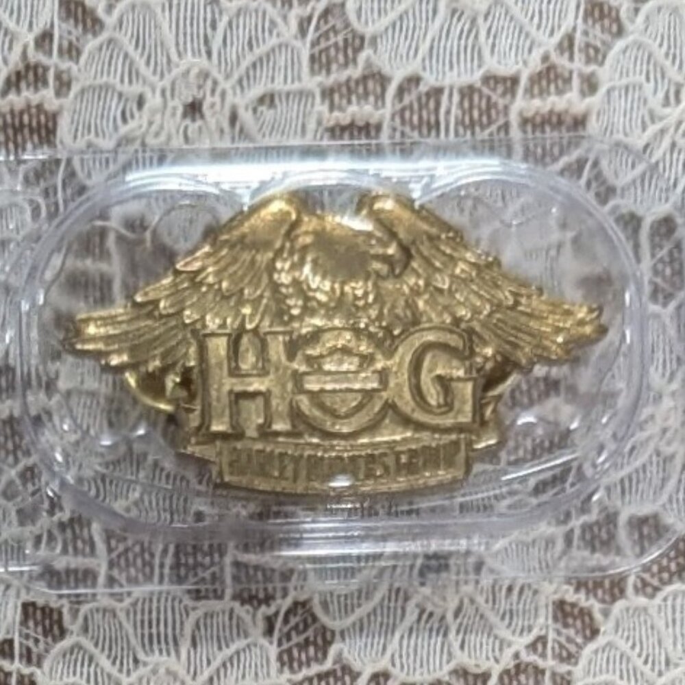 Harley Owners Group Pin